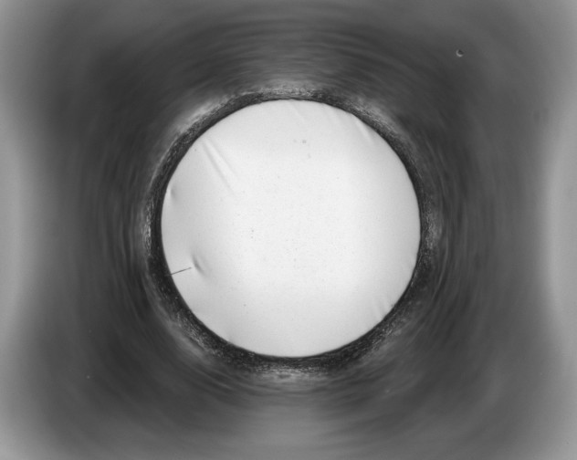 X0000086270632200704262017
