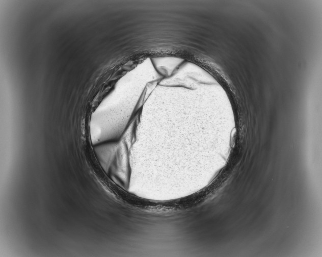 X0000086270633200704262017