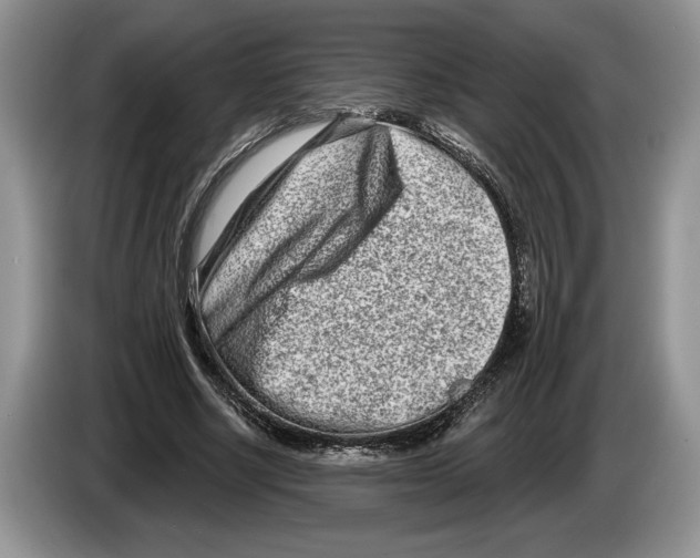 X0000086270634200704262017