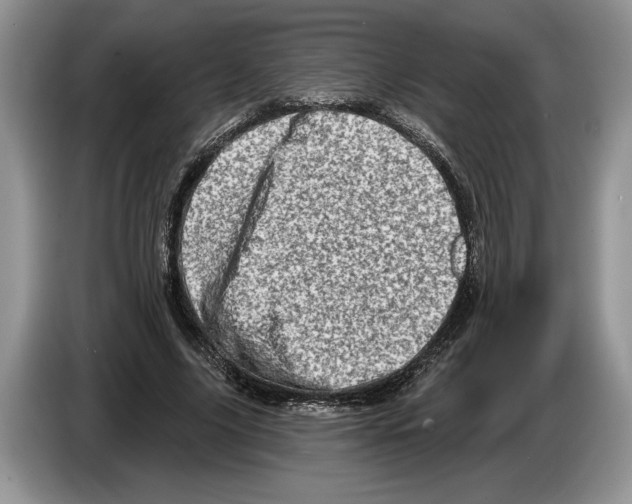 X0000086270635200704262017