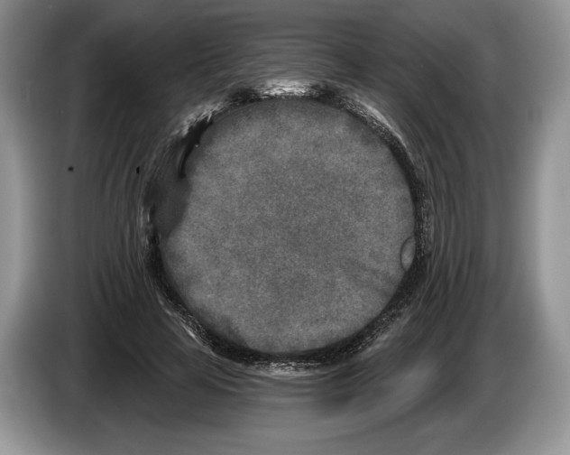 X0000086270641200704262017