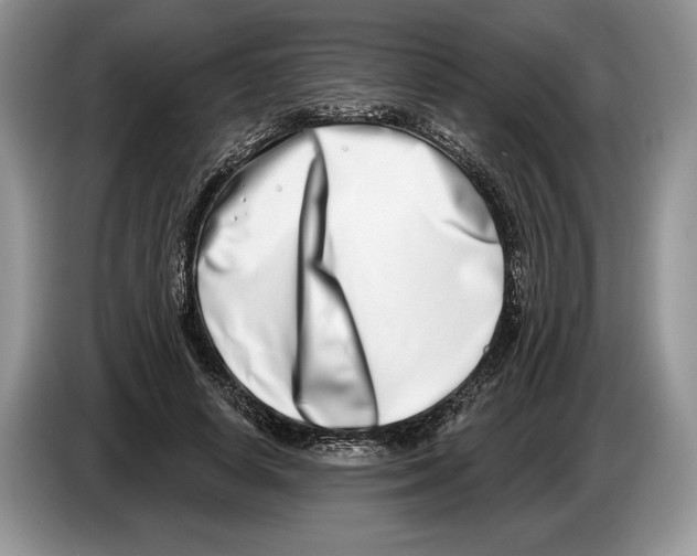 X0000086270642200704262017