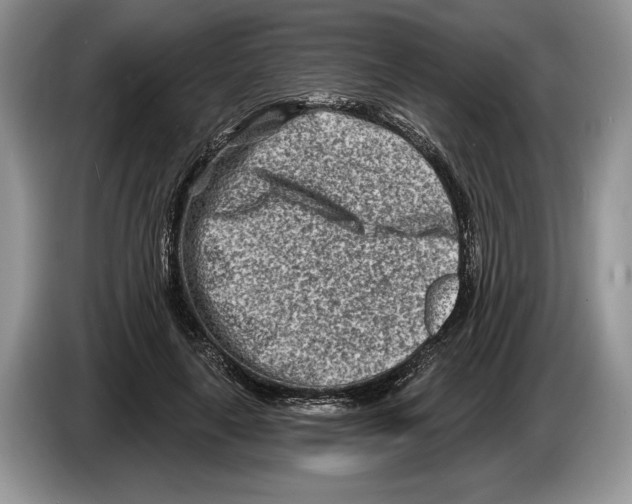 X0000086270643200704262017
