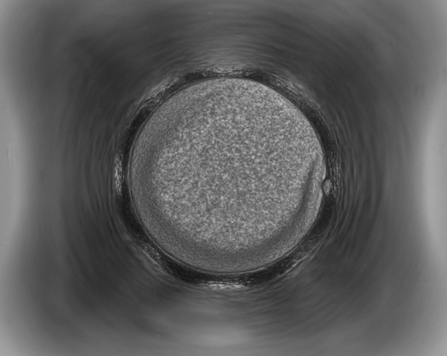 X0000086270644200704262017