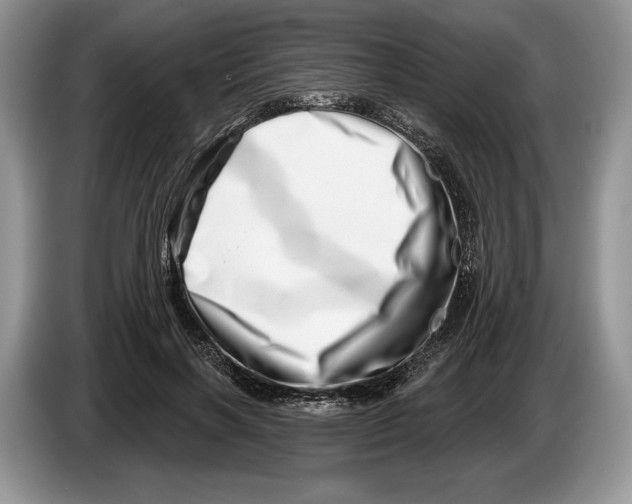X0000086270646200704262017