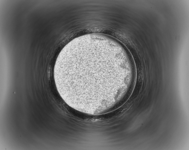 X0000086270647200704262017