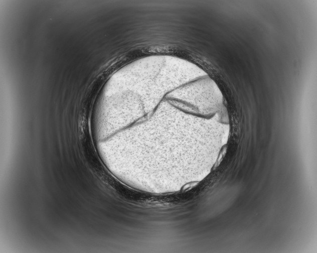 X0000086270648200704262017