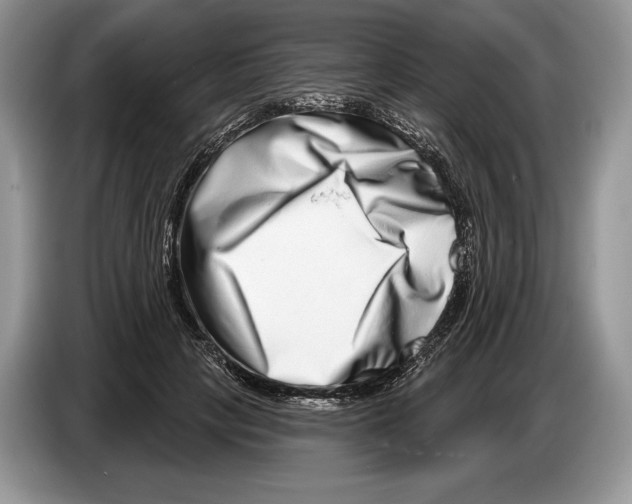 X0000086270649200704262017