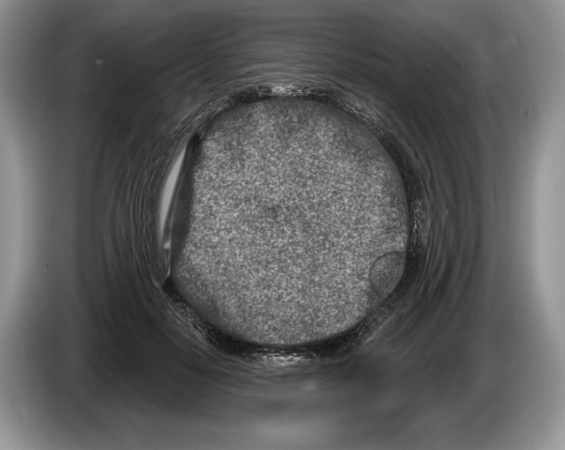 X0000086270650200704262017