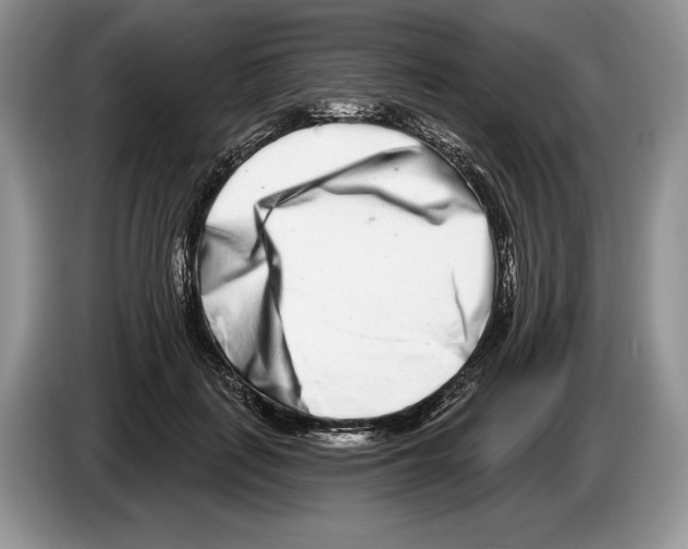 X0000086270651200704262017