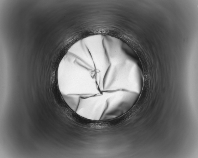 X0000086270652200704262017