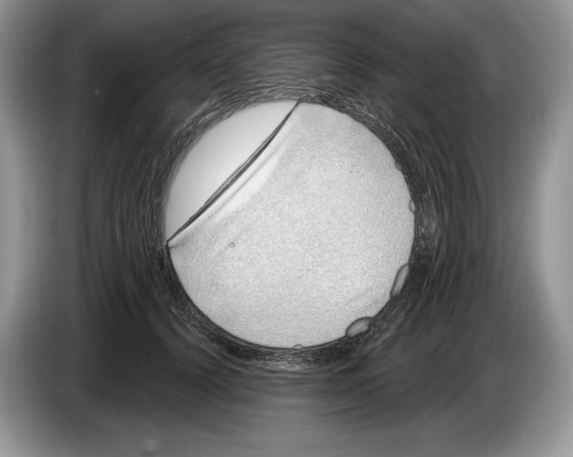 X0000086270656200704262017