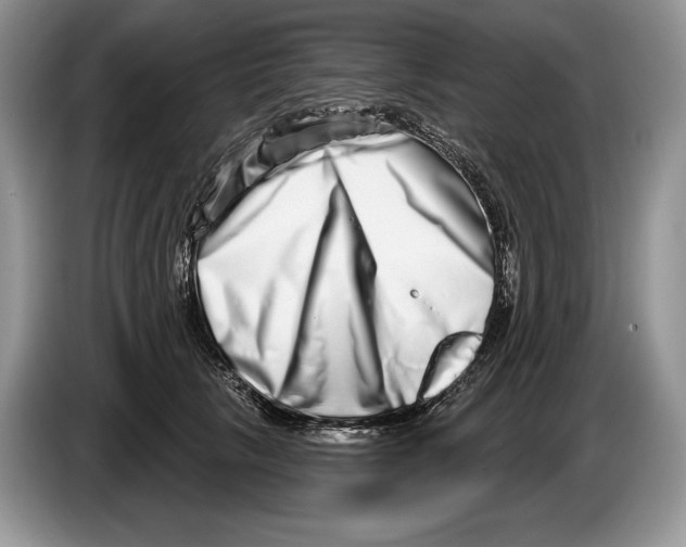 X0000086270657200704262017