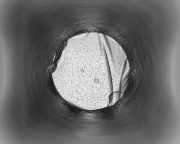 X0000086270658200704262017