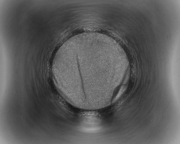X0000086270659200704262017