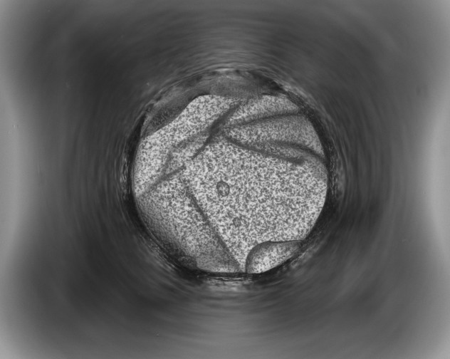 X0000086270661200704262017