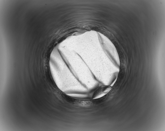 X0000086270663200704262017