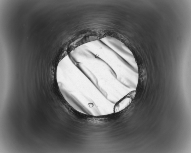 X0000086270664200704262017