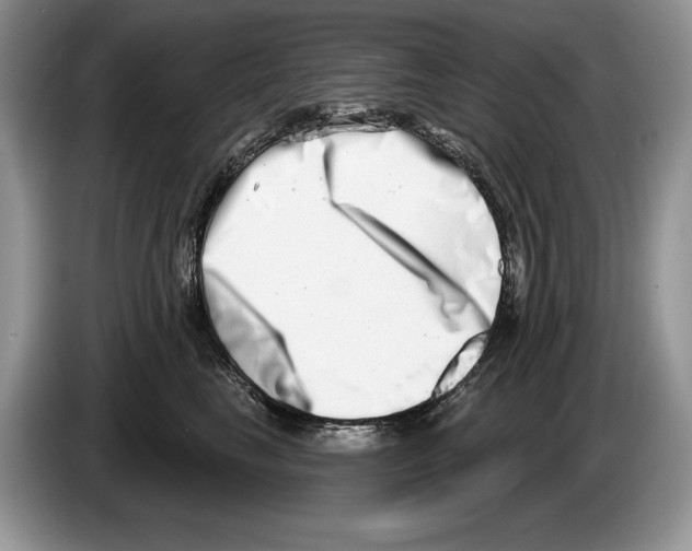 X0000086270665200704262017