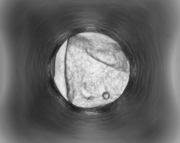 X0000086270666200704262017