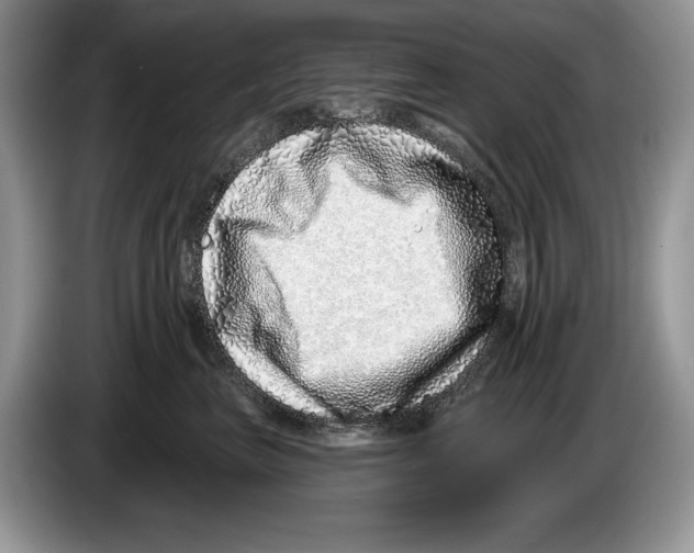 X0000086270667200704262017
