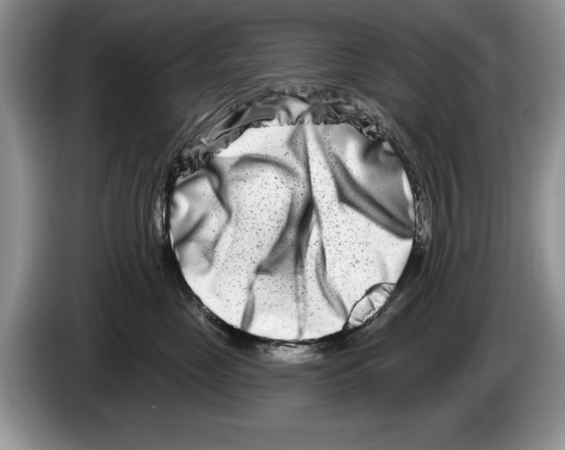 X0000086270669200704262017