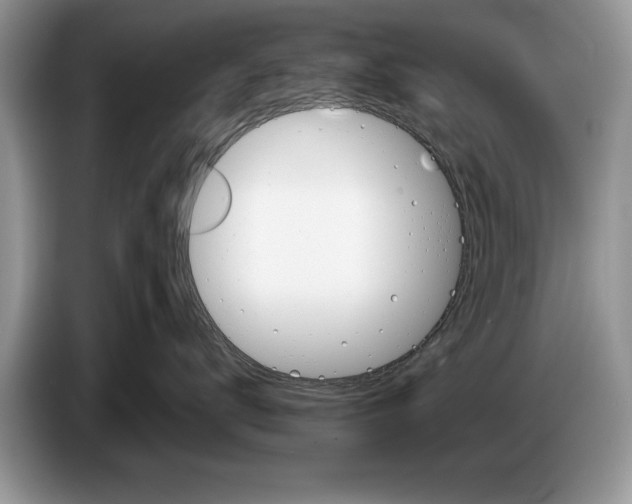 X0000086270672200704262017