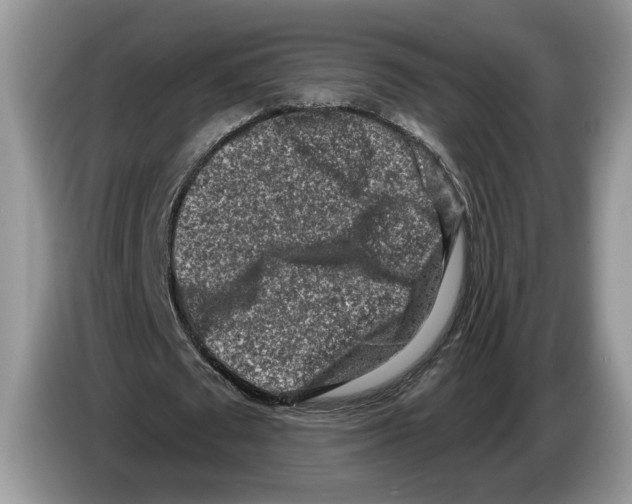 X0000086270673200704262017