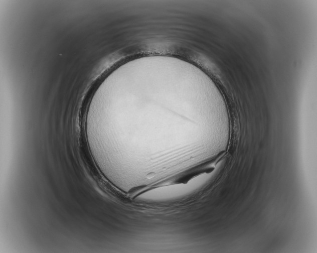 X0000086270674200704262017