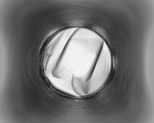 X0000086270675200704262017