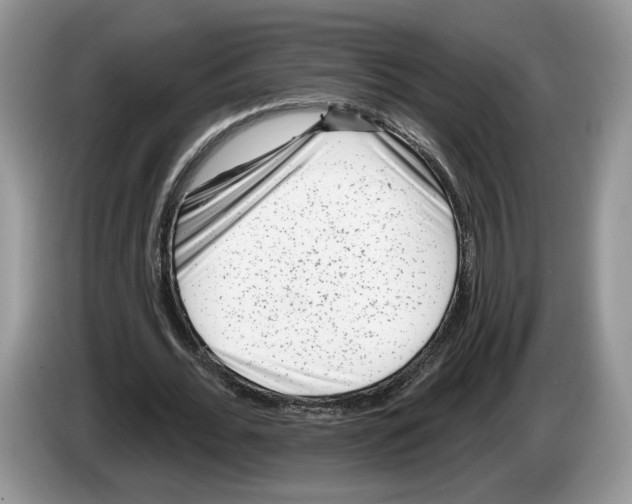 X0000086270676200704262017