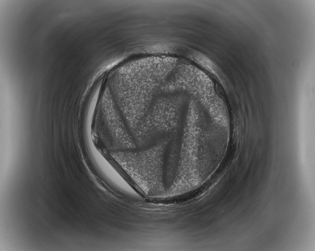 X0000086270677200704262017