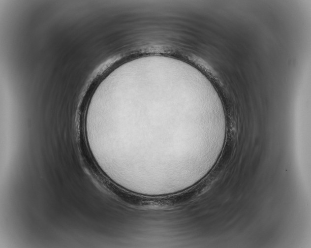 X0000086270678200704262017
