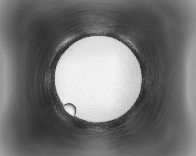 X0000086270679200704262017