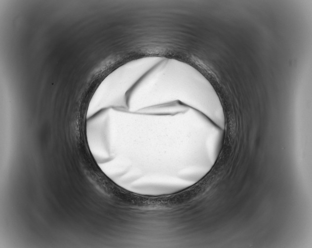 X0000086270682200704262017