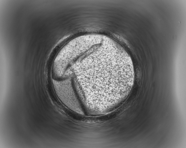 X0000086270684200704262017