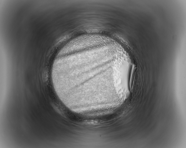 X0000086270687200704262017