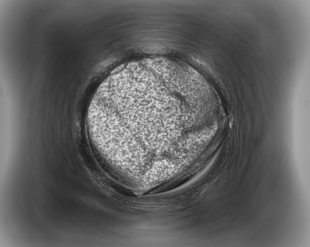 X0000086270688200704262017