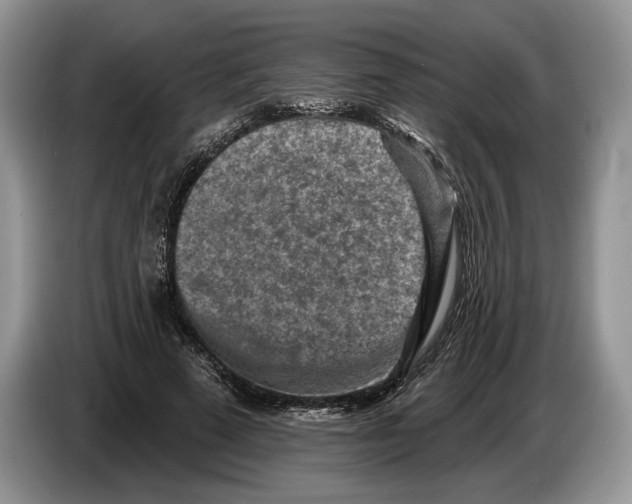 X0000086270689200704262017