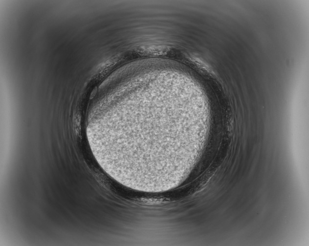 X0000086270693200704262016