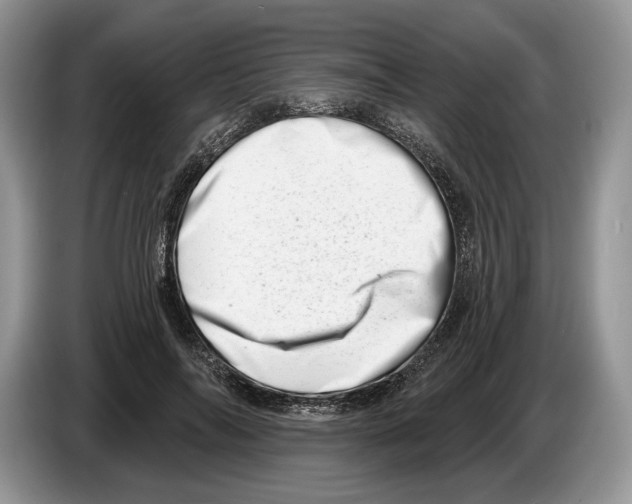 X0000086270694200704262016