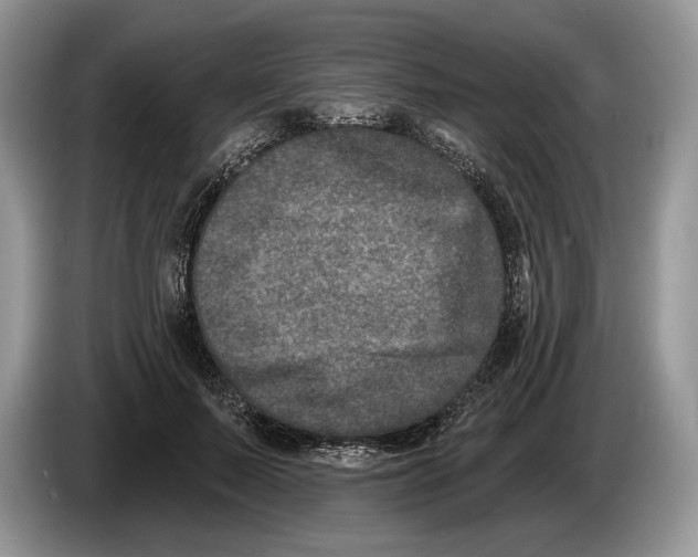 X0000086270695200704262016