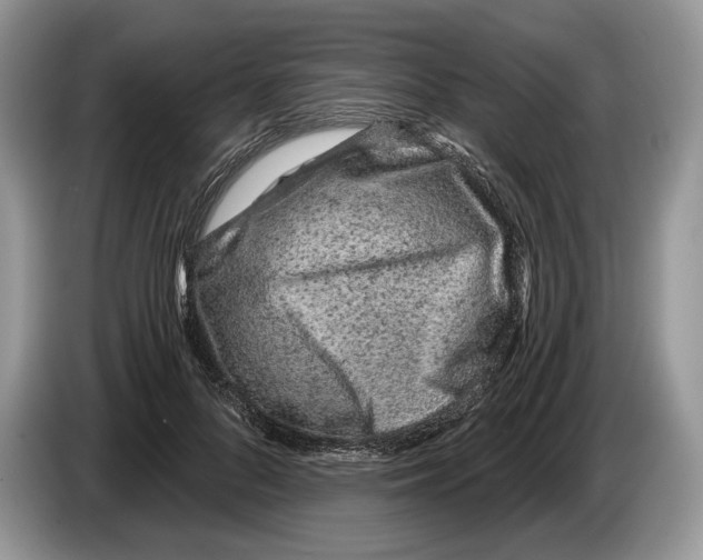 X0000086270696200704262016