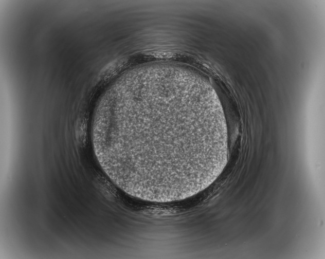 X0000086270697200704262016