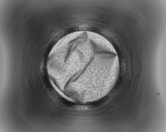 X0000086270698200704262016