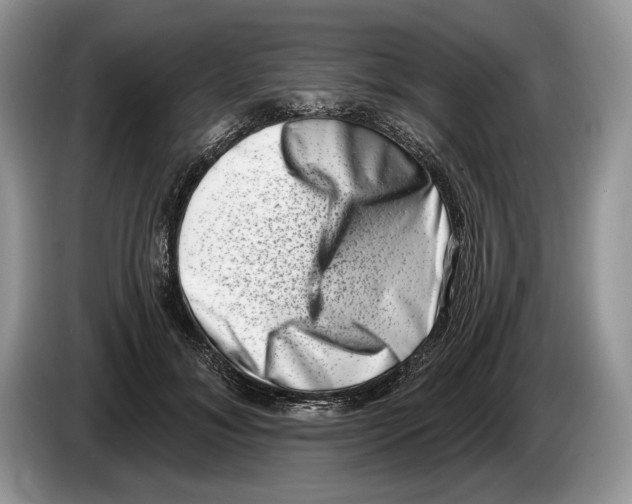 X0000086270700200704262016