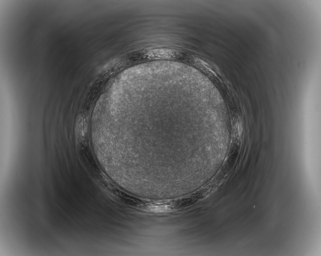 X0000086270701200704262016