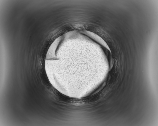 X0000086270702200704262016