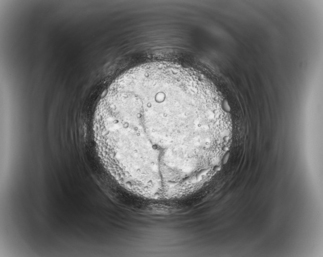 X0000086270703200704262016
