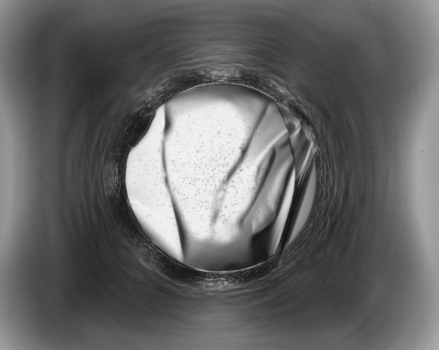 X0000086270704200704262016